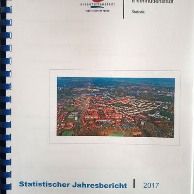 Statistischer Jahresbericht 2017