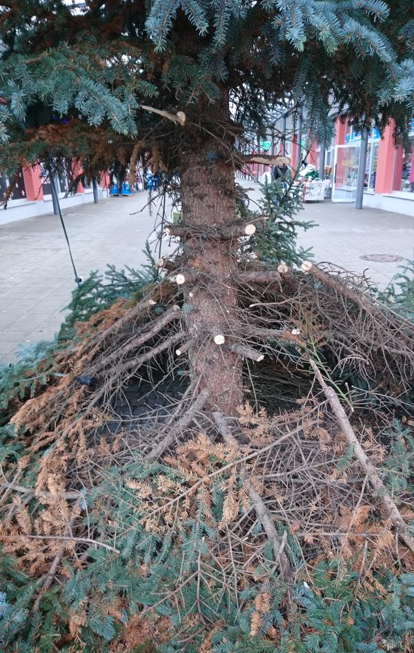 Vandalismus am Weihnachtsbaum Fr&ouml;belringpassage