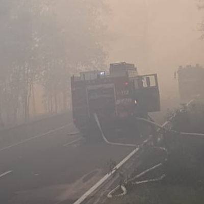 Eisenh�ttenst�dter Freiwillige Feuerwehr im Einsatz beim Waldbrand bei Ziltendorf