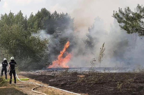 Eisenhüttenstädter Freiwillige Feuerwehr im Einsatz beim Waldbrand bei Ziltendorf