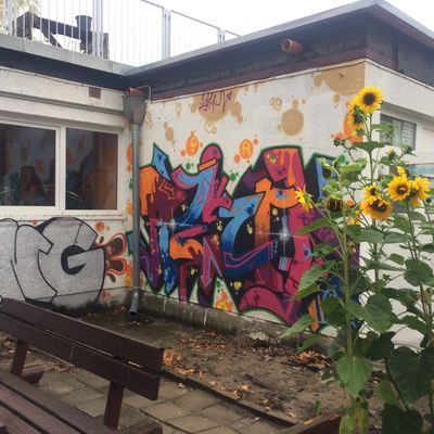 Jubs Eisenh�ttenstadt - �bergabe Grafitti vom Stadtfest an Jugendliche