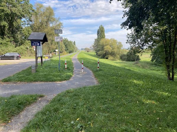 Oder-Nei&szlig;e Radweg / Buchwaldstr.