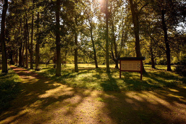 Arboretum in F&uuml;rstenberg (Oder)