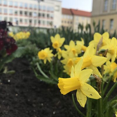 210401-Ostern-IMG_8110
