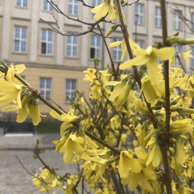 210401-Ostern-IMG_8113