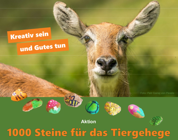 1000 Steine f&uuml;r das Tiergehege