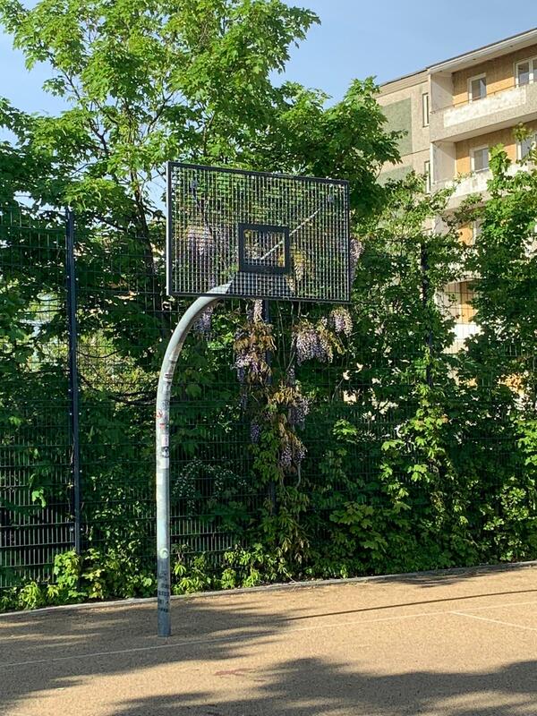 Gestohlen: Basketball-Anlage ohne Korb. 