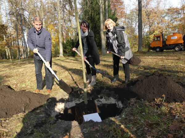 Baumpflanzaktion im Arboretum