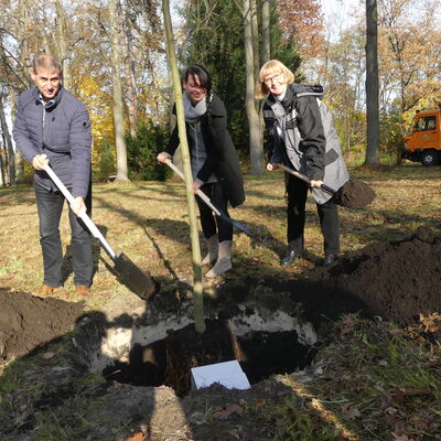 Baumpflanzaktion im Arboretum