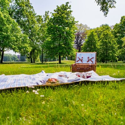 Picknick im Park, Foto Seenland Oder-Spree (3)