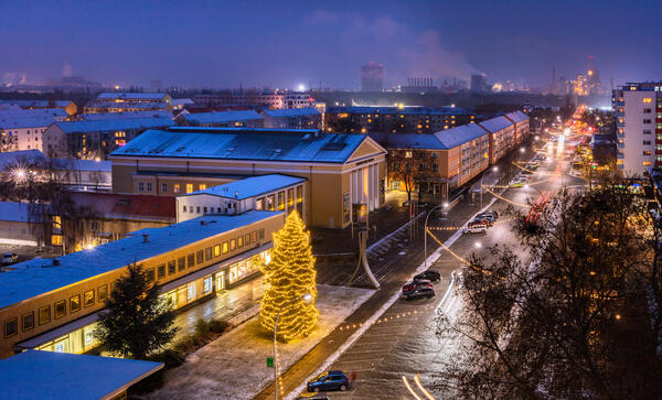 Winterliche Lindenallee am 3. Dezember 2020