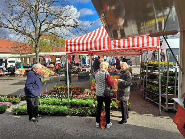 Wochenmarkt Eisenh&uuml;ttenstadt am 4. April 2024