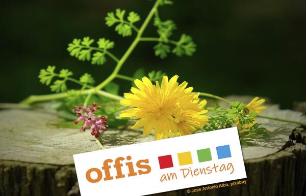 Montage oaD 06.05.25