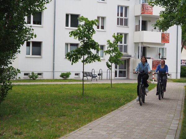 IMG-20250515-WA0006