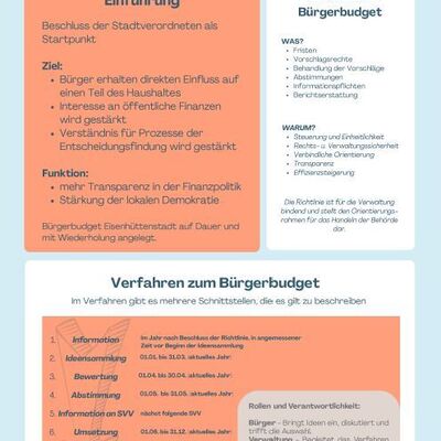 B�rgerbudget_Zusammenfassung